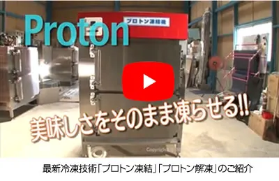 Proton